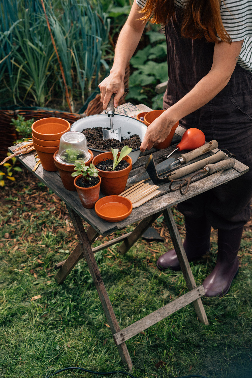 Die Aussaat in kleine Toepfe