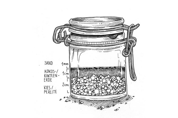 Uebersicht zur Befuellung des Glases mit den Aussaatsubstraten