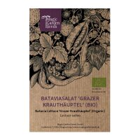 Bataviasalat Grazer Krauthäuptel (Lactuca sativa) Bio