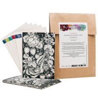 Grußkartenset - Magic Garden Seeds Highlights - 6 x...