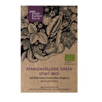 Stangensellerie Green Utah (Apium graveolens) Bio Saatgut
