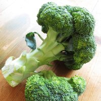 Brokkoli Calabrese (Brassica oleracea) Bio Saatgut