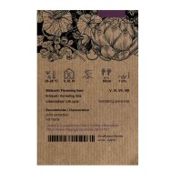 Chili Carolina Reaper (Capsicum chinense) Samen
