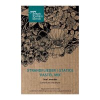 Geflügelter Strandflieder / Statice Pastel Mix (Limonium sinuatum) Samen