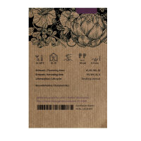 Tomate De Berao (Solanum lycopersicum) Bio Saatgut