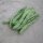 Buschbohne Pfälzer Juni (Phaseolus vulgaris) Samen