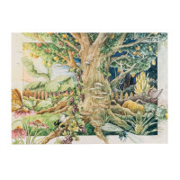 Unsere Pflanzenlieblinge: Stauden & Sommerblumen für Blumenfans (Bio) - Samenset