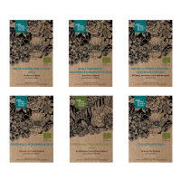 Unsere Pflanzenlieblinge: Wildblumen für Blumenfans...