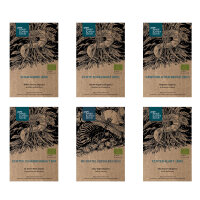 Unsere Pflanzenlieblinge: Heilpflanzen &...