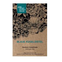 Blaue Kugeldistel (Echinops ritro) Samen