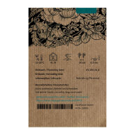 Niedriger Dahlien-Mix (Dahlia variabilis)  Samen