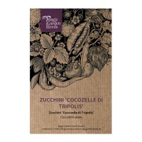 Zucchini Cocozelle di Tripolis (Cucurbita pepo) Samen