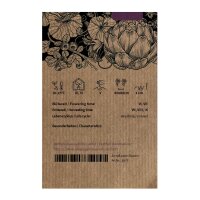Cantaloupe Melone Charentais (Cucumis melo) Samen