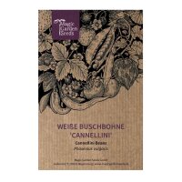 Weiße Buschbohne Cannellini (Phaseolus vulgaris) Samen