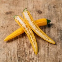 Cayennepfeffer-Chili Golden Cayenne (Capsicum annuum) Samen