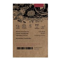 Chili Mini Bonnet Red (Capsicum annuum) Samen