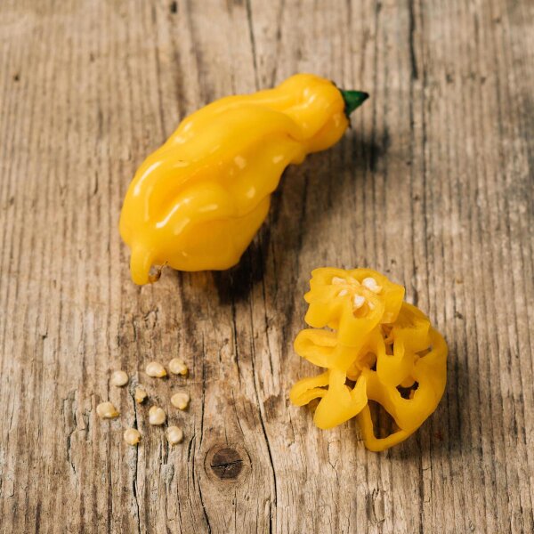 Surinam-Chili Madame Jeanette (Capsicum chinense) Samen