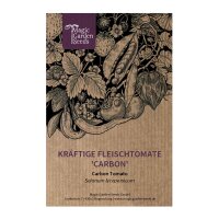 Kräftige Fleischtomate Carbon (Solanum lycopersicum)...