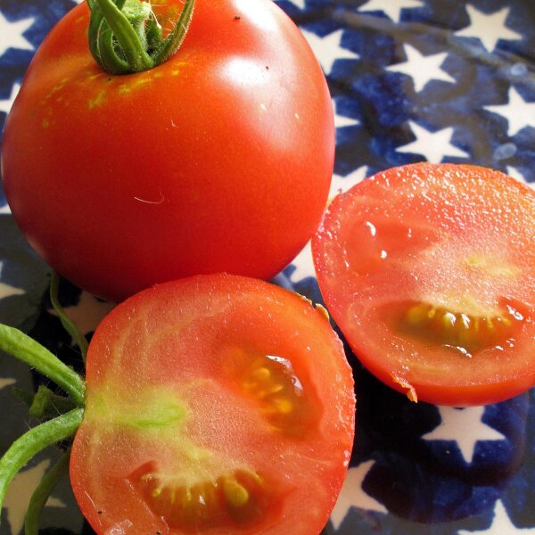 Stabtomate Moneymaker (Solanum lycopersicum) Samen