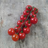 Cherrytomate Red Bell (Solanum lycopersicum)