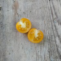 Cocktailtomate Clementine (Solanum lycopersicum)