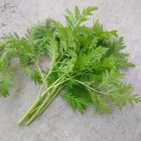 Qing Hao / Einjähriger Beifuss (Artemisia annua) Samen