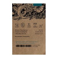 Qing Hao / Einjähriger Beifuss (Artemisia annua) Samen