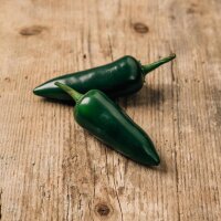 Chili Serrano (Capsicum annuum)