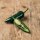 Chili Serrano (Capsicum annuum)