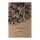 Wildkirsche (Prunus avium subsp. avium) Samen