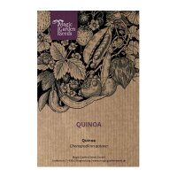 Quinoa (Chenopodium quinoa) Samen