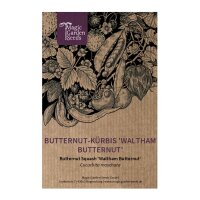 Butternut-Kürbis Waltham Butternut (Cucurbita moschata) Samen