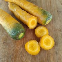 Gelbe Möhre Jaune Du Doubs (Daucus carota) Samen