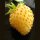 Weiße Erdbeere Yellow Wonder (Fragaria vesca) Samen