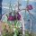 Schachbrettblume (Fritillaria meleagris) Samen