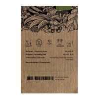 Burley Tabak Bursanica (Nicotiana tabacum) Samen