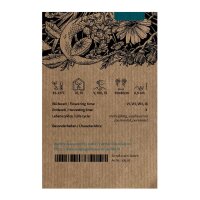 Echter Baldrian (Valeriana officinalis) Samen