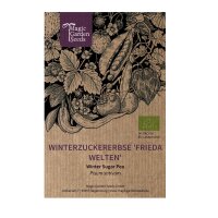 Winterzuckererbse Frieda Welten (Pisum sativum) Bio Saatgut