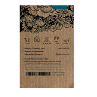 Sommerblumen in Weiss (diverse Arten & Sorten) Saatgutmix