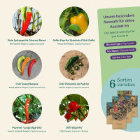 Milde Chilis: Exotisches Chili-Aroma ganz ohne Schärfe – Samenset Nr. 3