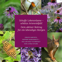 Gemüse Raritäten für Garten & Küche - Samenset Nr.7