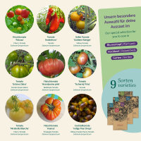 Bunte Tomaten zum Verlieben - Samenset Nr.30