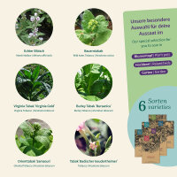 Tabak Vielfalt: Von der Aussaat zum eigenen Mix -...