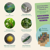 Gurken Genuss: Vier Gurkensorten & Einmachbegleiter...