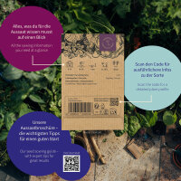 Melonen Garten: Exotische Früchte einfach selbst gezogen – Samenset Nr. 16