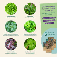 Basilikum Vielfalt: Sechs Sorten aus aller Welt -...