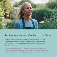 Frauen Kräuter - Traditionelle Kräuter für Balance und Wohlbefinden - Samenset Nr. 32
