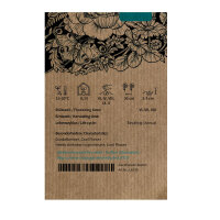 Lavendelblaue Duftwicke Lady Grisel Hamilton (Lathyrus odoratus) Samen