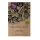 Italienische Kirschtomate Ciliegia (solanum lycopersicum) Bio-Saatgut