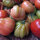 Italienische Ochsenherz-Tomate Cuore di bue (Solanum lycopersicum) Bio Saatgut